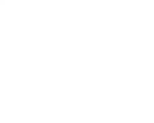 Rectangle-white-rev.png
